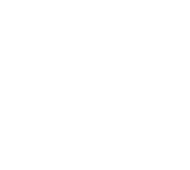 The Printed Image