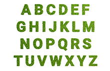 image of fonts made up of plants, representing the need to embed fonts when sending print files to The Printed Image